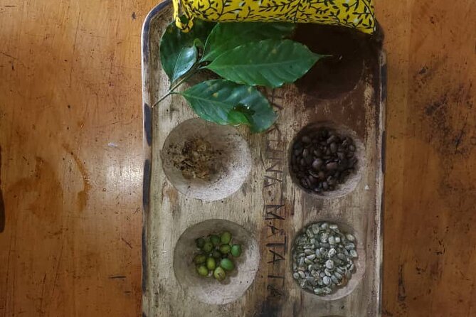 Materuni (Coffee Tour) and Chemka (Kikuletwa Tour) - Practical advice for a smoother day