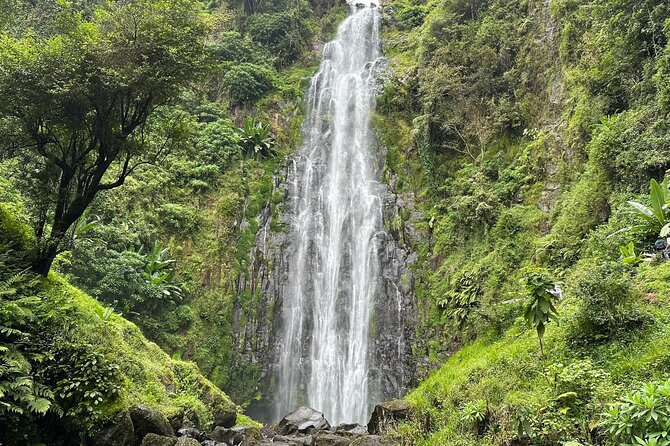 Materuni Waterfall and Coffee Plantation Half Day Tour - Five useful things to know before you book