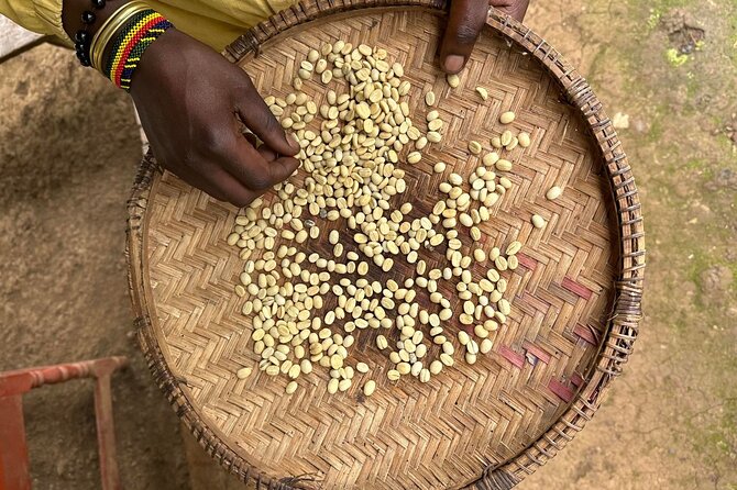 Materuni Waterfall and Coffee Plantation Half Day Tour - Why this Moshi day trip works so well