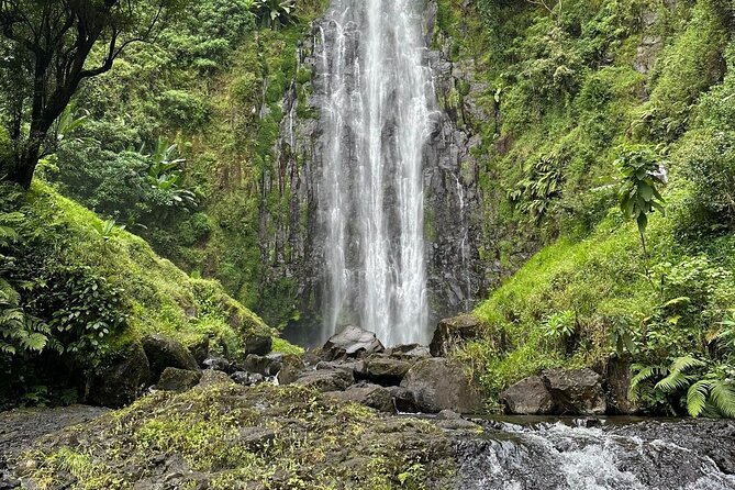 Materuni Waterfall and Coffee Plantation Half Day Tour - Making coffee from bean to cup