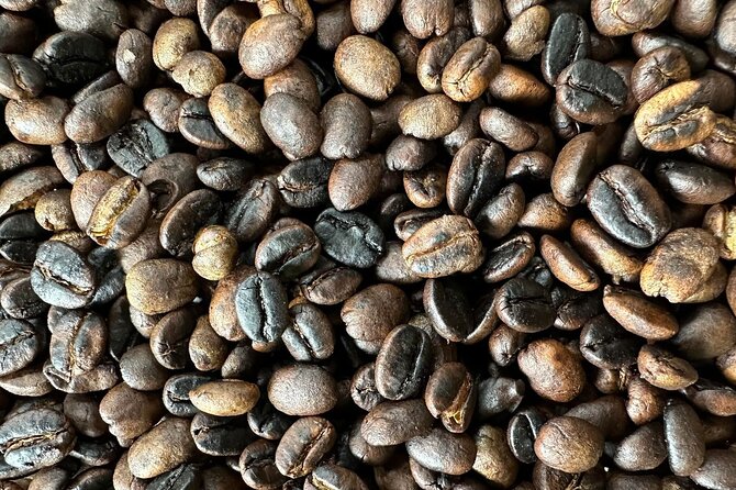 Materuni Waterfall and Coffee Plantation Half Day Tour - Who should book this experience?