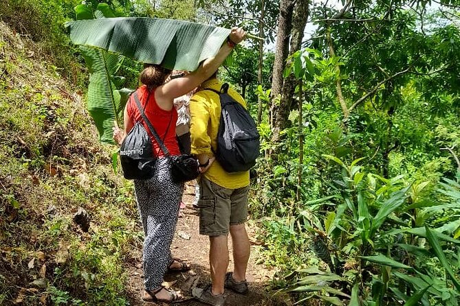 Materuni Waterfall and Kikuletwa Hot Spring Tour - Why this Moshi-area day trip works