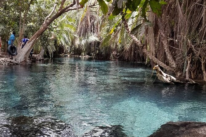 Materuni Waterfall and Kikuletwa Hot Spring Tour - What the private format changes