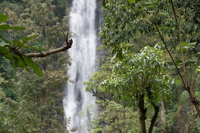 Materuni Waterfall and Kikuletwa Hot Spring Tour - Transport, timing, and the cost of $136