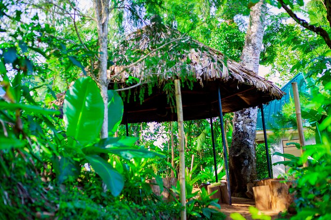 Materuni Waterfall and Kikuletwa Hot Spring Tour - Who should book this experience?