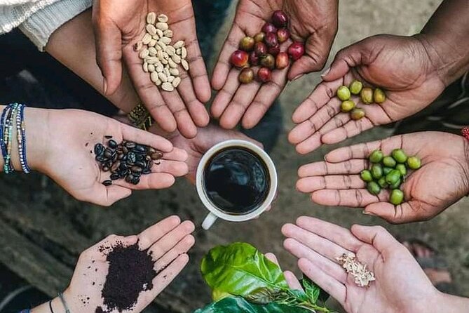 Materuni Waterfall Coffee Tour and Chemka Hot Springs Experience - Key points to know before booking