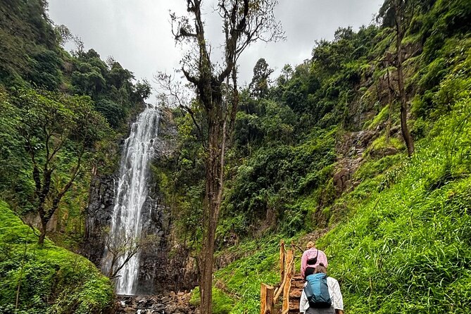 Materuni Waterfall Coffee Tour and Chemka Hot Springs Experience - A Chagga lunch with local flavor