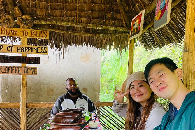 Materuni Waterfall Coffee Tour and Chemka Hot Springs Experience - What the $80 price includes