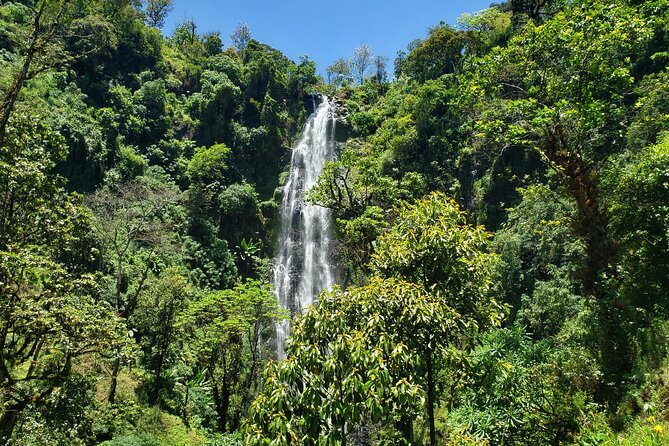 Materuni Waterfall, Coffee Tour and Picnic Hot Lunch - The walk to an 80 to 90 meter waterfall