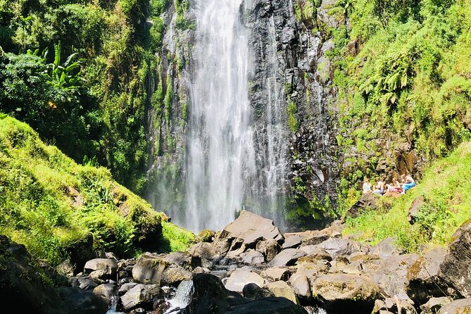 Materuni Waterfall, Coffee Tour and Picnic Hot Lunch - Kilimanjaro views from Materuni Village