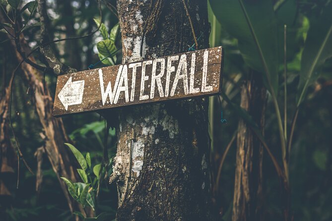 Materuni Waterfall Hike & Coffee Tour - Key points before you book