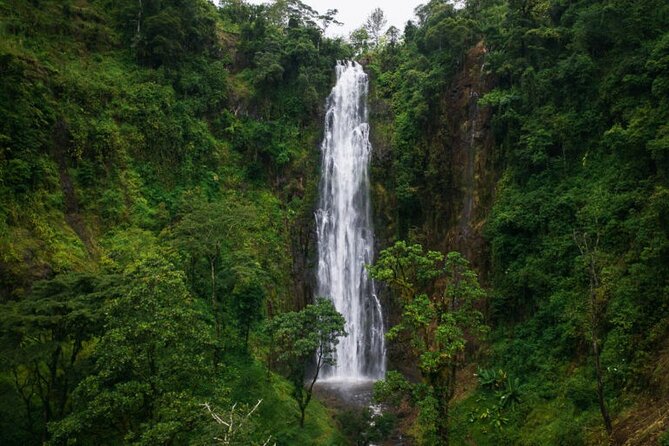 Materuni Waterfall Hike & Coffee Tour - Meeting the Chaga community through coffee