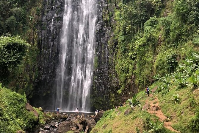Materuni Waterfall Hike & Coffee Tour - Practical details for planning the outing