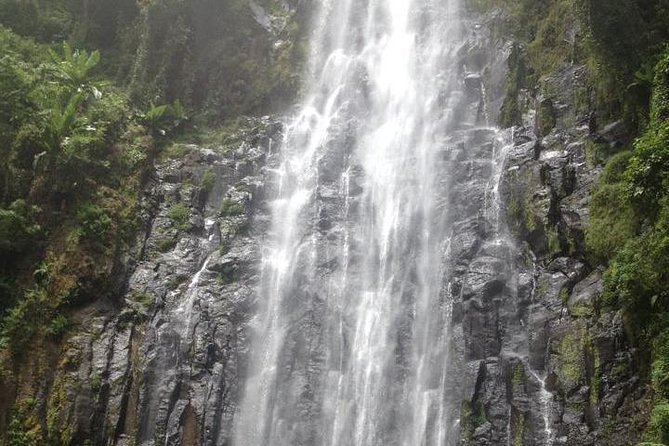Materuni Waterfalls and Coffee Tour - The walk to Materuni Waterfalls