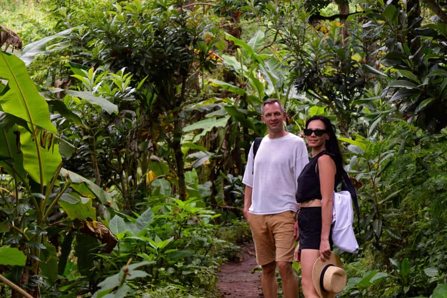 Materuni Waterfalls, Chemka Hot Springs, &/Or Coffee Tour - Key Things to Know Before You Go