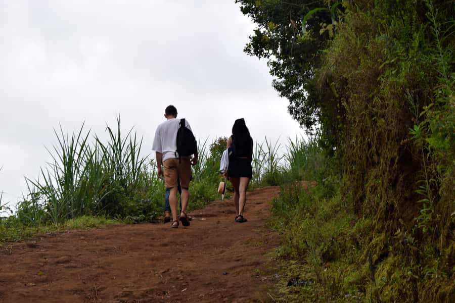 Materuni Waterfalls, Chemka Hot Springs, &/Or Coffee Tour - Why This Day Trip Works So Well