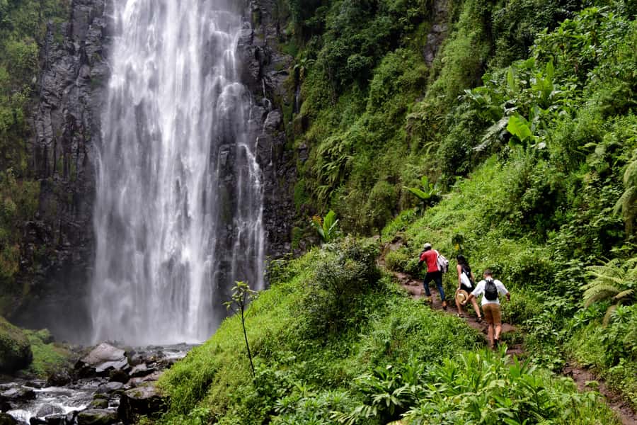 Materuni Waterfalls, Chemka Hot Springs, &/Or Coffee Tour - Making Coffee the Traditional Way