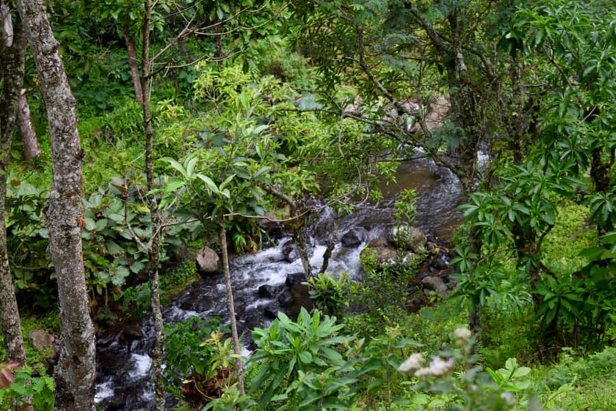 Materuni Waterfalls, Chemka Hot Springs, &/Or Coffee Tour - Chemka Hot Springs: Clear Water, Cool Expectations