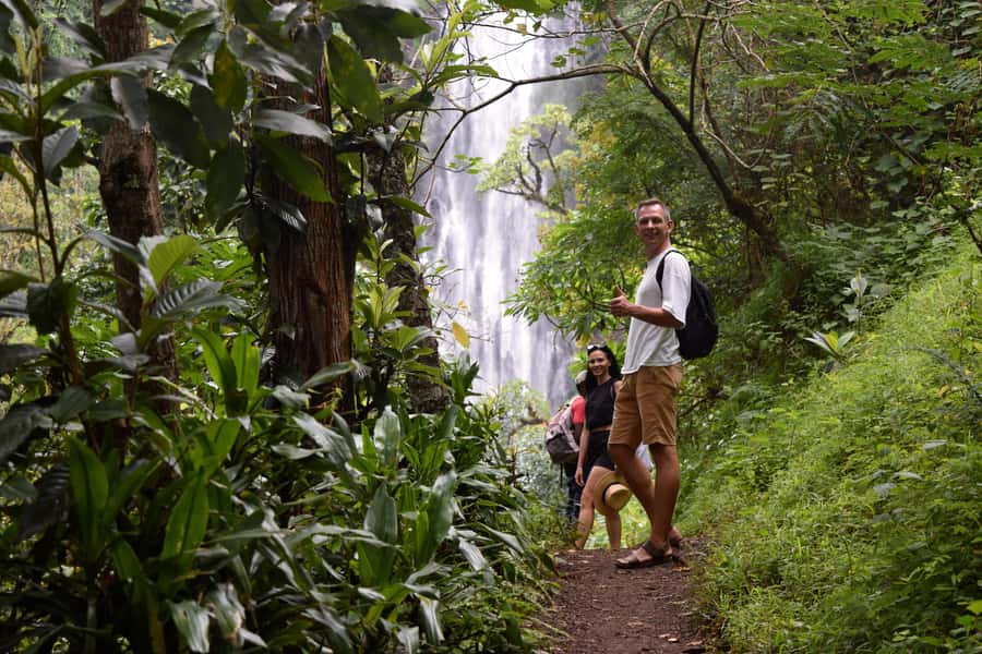 Materuni Waterfalls, Chemka Hot Springs, &/Or Coffee Tour - The Guides Make a Real Difference
