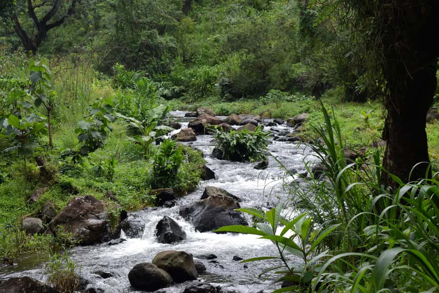 Materuni Waterfalls, Chemka Hot Springs, &/Or Coffee Tour - Is $70 Good Value?