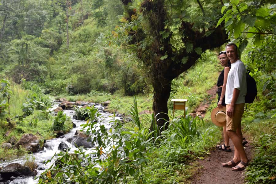 Materuni Waterfalls, Chemka Hot Springs, &/Or Coffee Tour - What to Pack for the Day