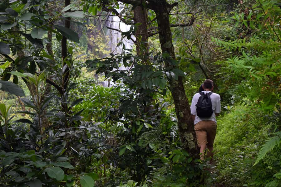 Materuni Waterfalls, Chemka Hot Springs, &/Or Coffee Tour - Who Will Enjoy This Most?