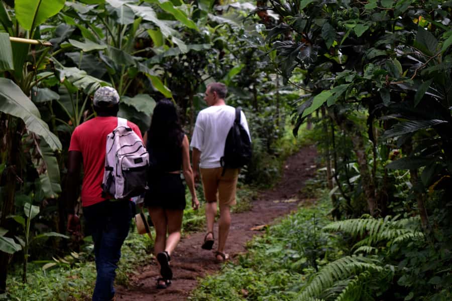 Materuni Waterfalls, Chemka Hot Springs, &/Or Coffee Tour - Walking Through Materuni Village to the Falls