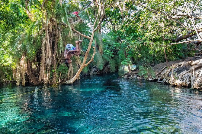 MATERUNI waterfalls, coffe tour & kikuletwa hotsprings - Key points at a glance