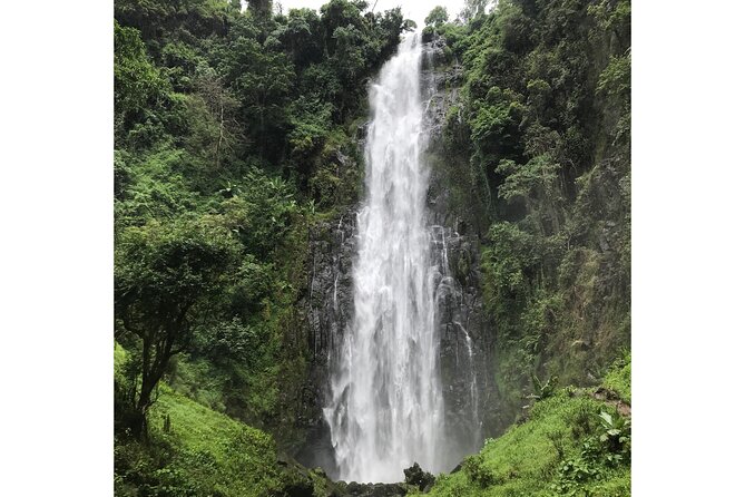 MATERUNI waterfalls, coffe tour & kikuletwa hotsprings - Is $150 per person good value?