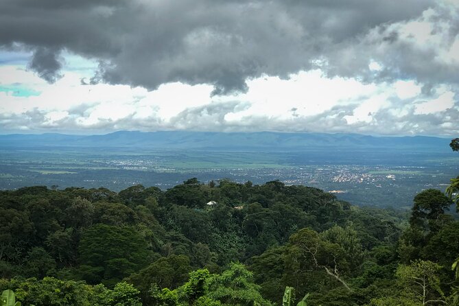 MATERUNI waterfalls, coffe tour & kikuletwa hotsprings - Who should book this experience?