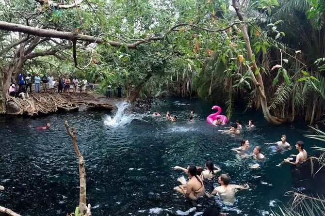Materuni waterfalls coffee tour & Chemka hot springs Day trip - What the $95 price really buys