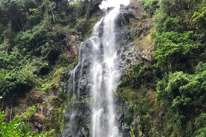 Materuni waterfalls coffee tour & Chemka hot springs Day trip - Practical ways to make the day better