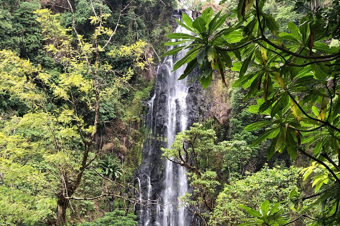 Materuni waterfalls coffee tour & Chemka hot springs Day trip - Cancellation and weather details