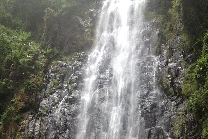 Materuni Waterfalls & Coffee Tour from Moshi - Key points at a glance