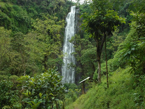 Materuni Waterfalls & Coffee Tour from Moshi - Coffee made the Chagga way