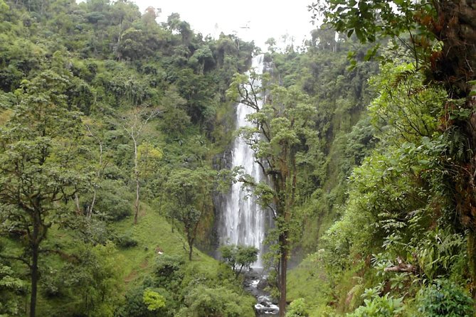 Materuni Waterfalls & Coffee Tour from Moshi - A 90-meter waterfall with a cold-water swim