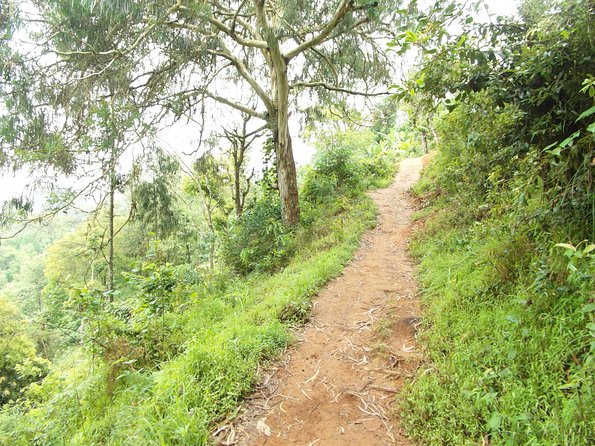 Materuni Waterfalls & Coffee Tour from Moshi - Lunch and the value of $60