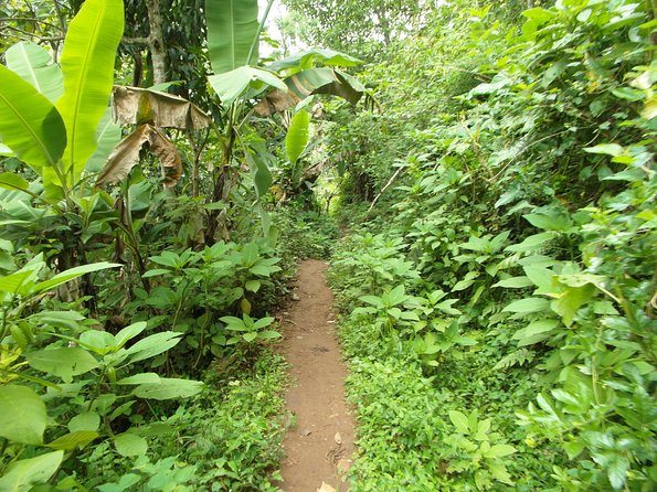 Materuni Waterfalls & Coffee Tour from Moshi - Guides, pace, and the human side of the tour