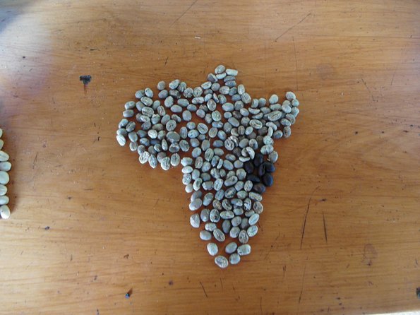 Materuni Waterfalls & Coffee Tour from Moshi - Who should book this experience?
