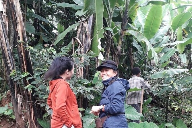 Materuni waterfalls,coffee tour & Kikuletwa(Chemka)Hot Springs - How to Prepare for the Full Day