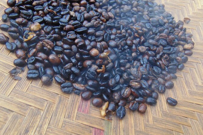 Materuni waterfalls,coffee tour & Kikuletwa(Chemka)Hot Springs - Who Will Enjoy This Experience Most?