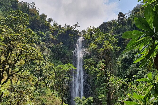 Materuni waterfalls,coffee tour & Kikuletwa(Chemka)Hot Springs - Walking Through Materuni Village to the Waterfall