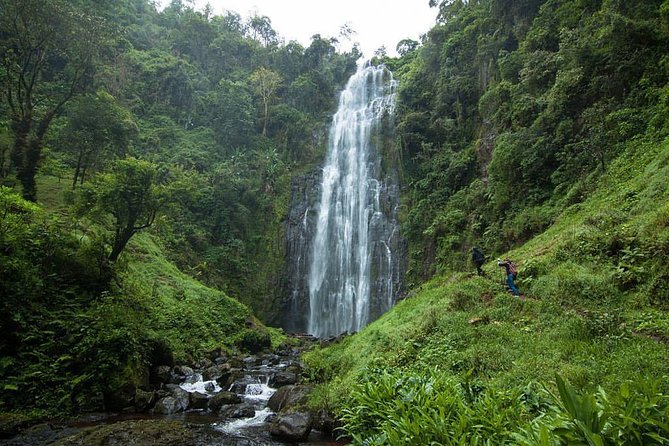 Materuni Waterfalls, coffee tour & Kikuletwa Hot Springs - Key points to know before you book