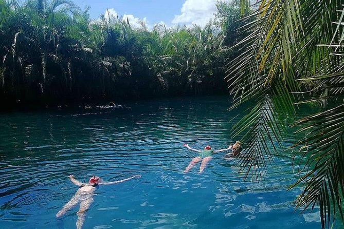 Materuni Waterfalls, coffee tour & Kikuletwa Hot Springs - Why this day makes sense from Arusha or Moshi