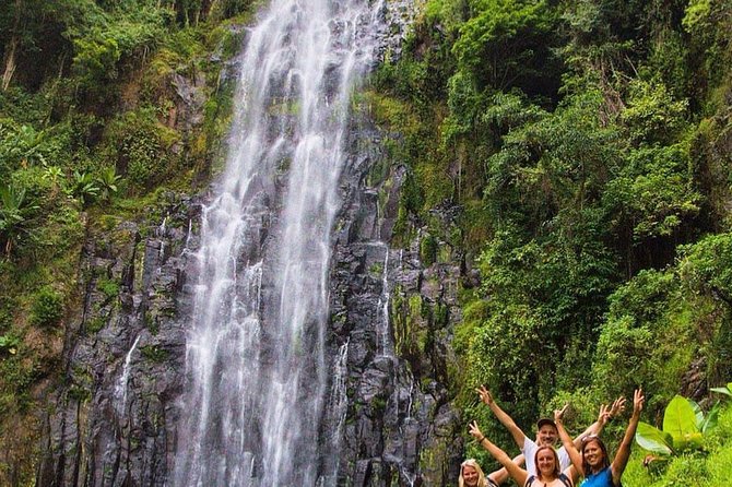 Materuni Waterfalls, coffee tour & Kikuletwa Hot Springs - Guide service and the private-tour advantage