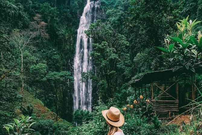 Materuni Waterfalls, coffee tour & Kikuletwa Hot Springs - Walking into Materuni village and forest