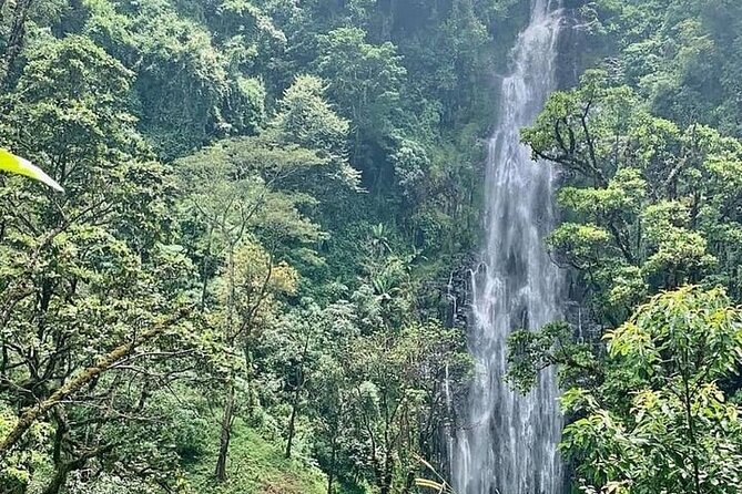 Materuni Waterfalls, Kikuletwa Chemka Hot springs, Coffee tour - Key points to know before booking