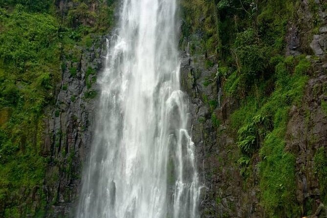 Materuni Waterfalls, Kikuletwa Chemka Hot springs, Coffee tour - What this Arusha day trip actually combines