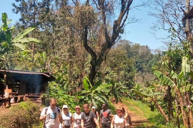 Materuni Waterfalls, Kikuletwa Chemka Hot springs, Coffee tour - Materuni Village and the Chagga coffee tradition