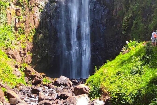 Materuni Waterfalls, Kikuletwa Chemka Hot springs, Coffee tour - Why the private format matters